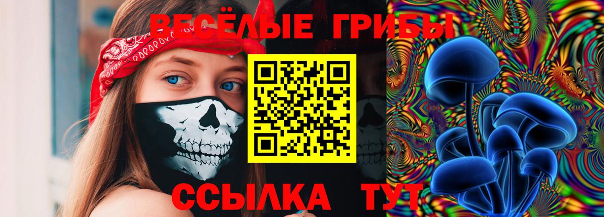 Псилоцибиновые грибы GOLDEN TEACHER Ртищево